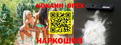 стафф Новозыбков