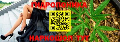 стафф Новозыбков