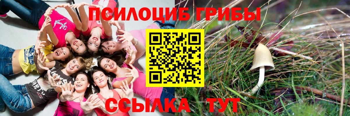 Сызрань  Галлюциногенные грибы Magic Shrooms  Вход с VPN  Галлюциногенные грибы мухоморы 
