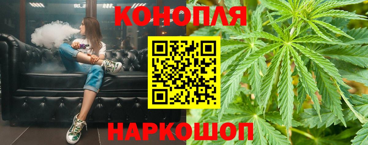 Канабис план Сызрань